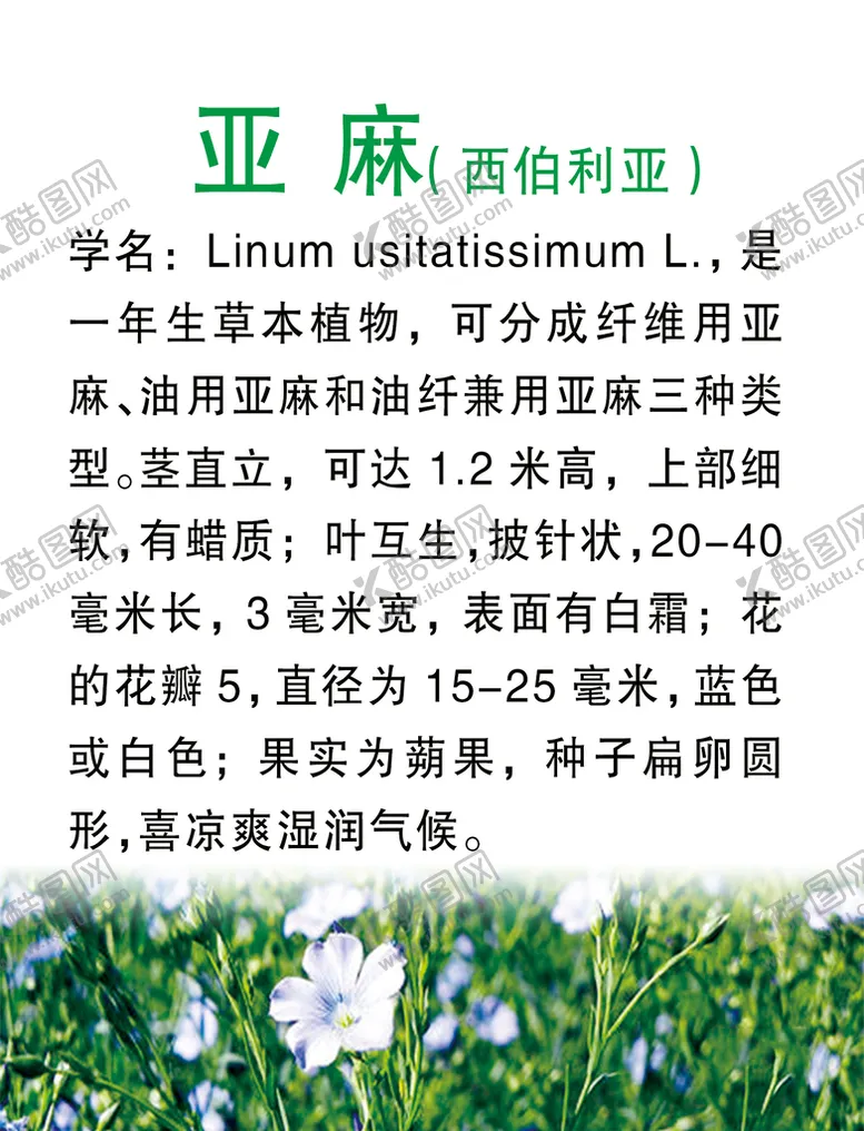 编号：32900910260603197777【酷图网】源文件下载-亚麻
