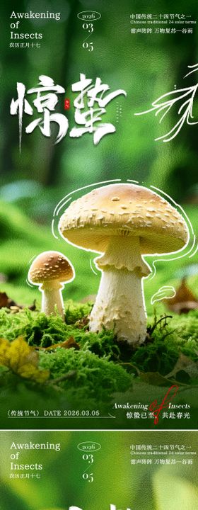 惊蛰植物海报