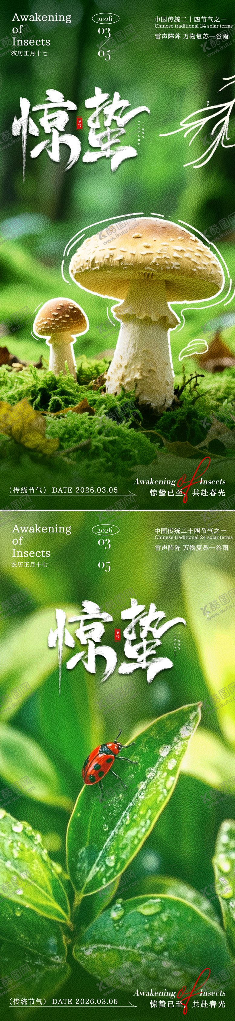 编号：56683402160221539700【酷图网】源文件下载-惊蛰植物海报