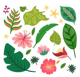 热带花卉和叶子免费矢量