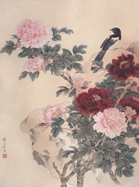 牡丹花