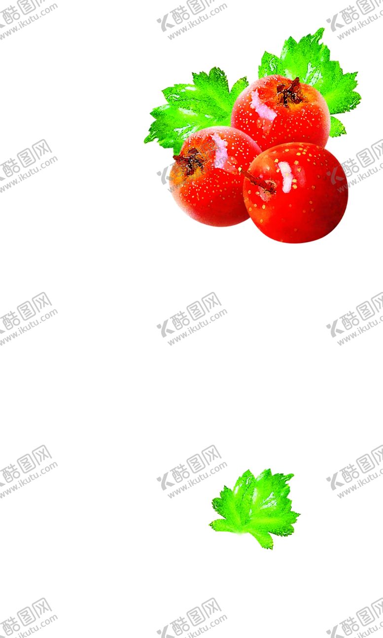 编号：37172406280231208002【酷图网】源文件下载-山楂