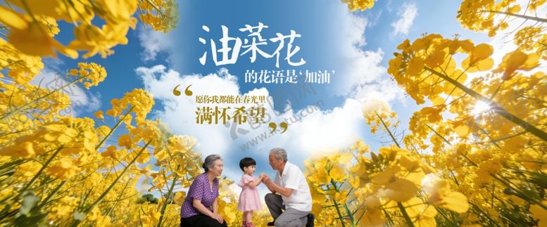 编号：71065104101825146424【酷图网】源文件下载-油菜花展板展示