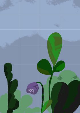 植物插画