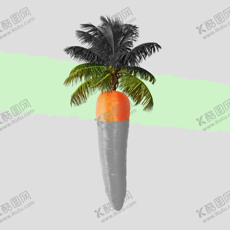 编号：79182009221401539318【酷图网】源文件下载-胡萝卜