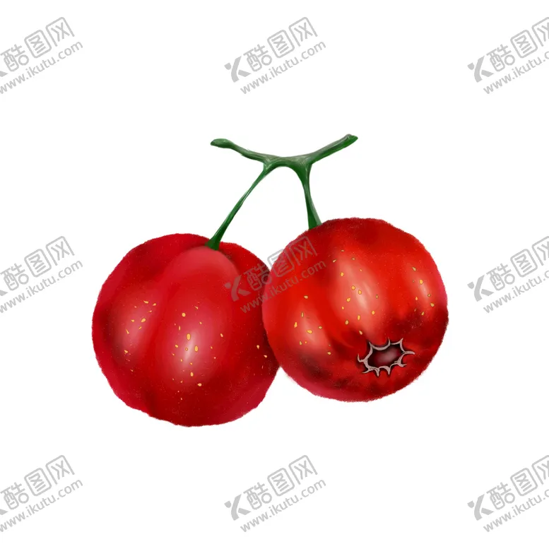 编号：69835009152047146180【酷图网】源文件下载-山楂