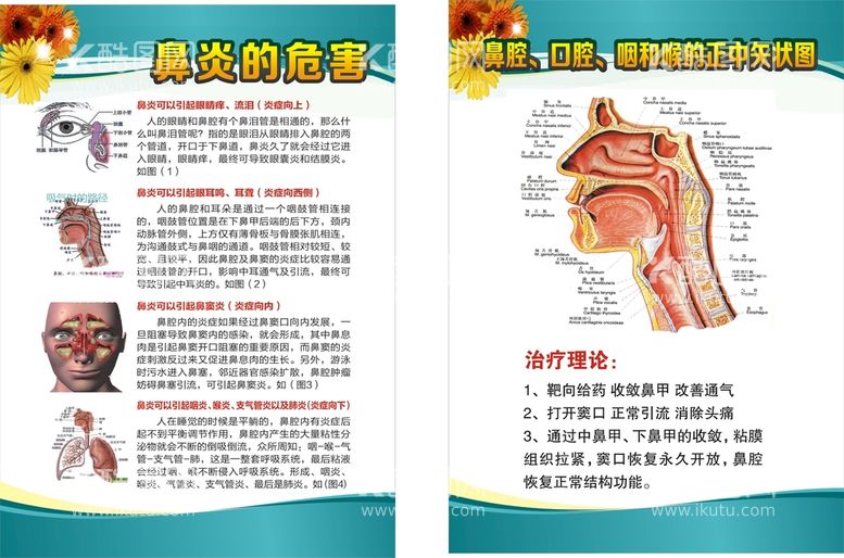 编号：21166412202043254984【酷图网】源文件下载-耳鼻喉解剖图