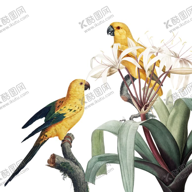 编号：69678507121100055179【酷图网】源文件下载-金色高级感鸟类透明PNG·