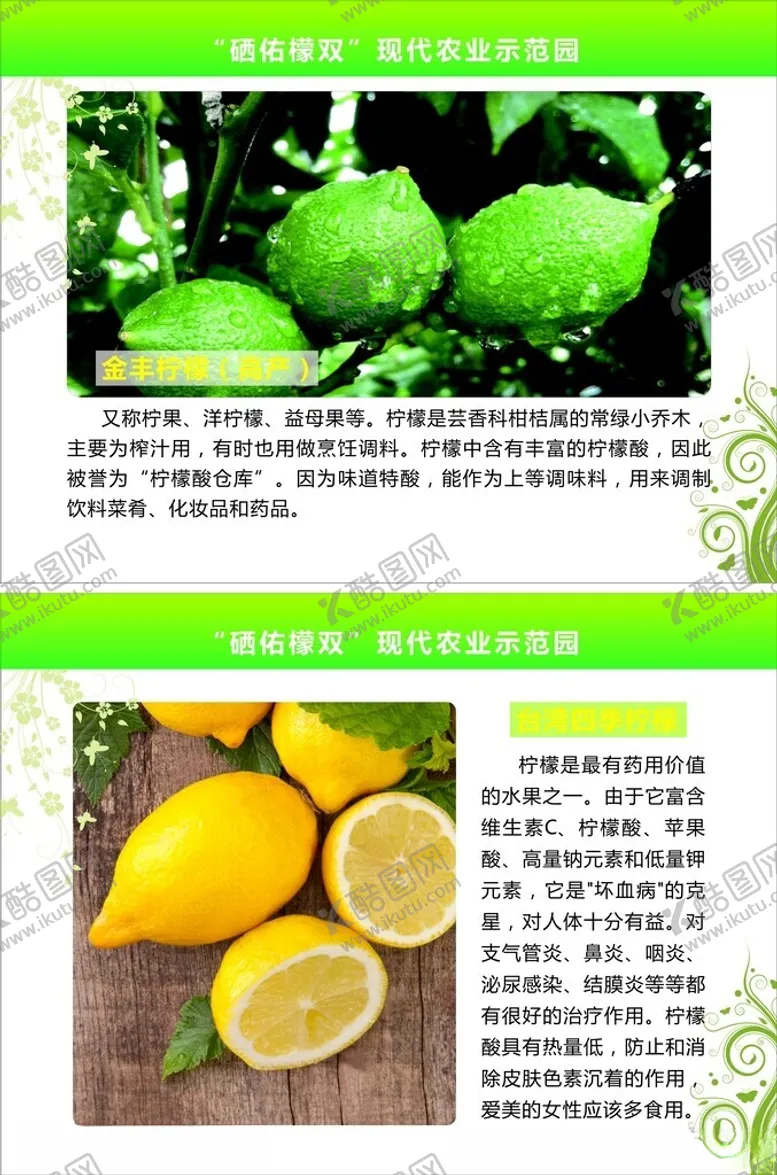 编号：11614003091209193248【酷图网】源文件下载-柠檬