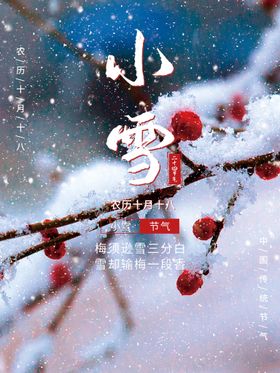 小雪红果素材堆人打仗