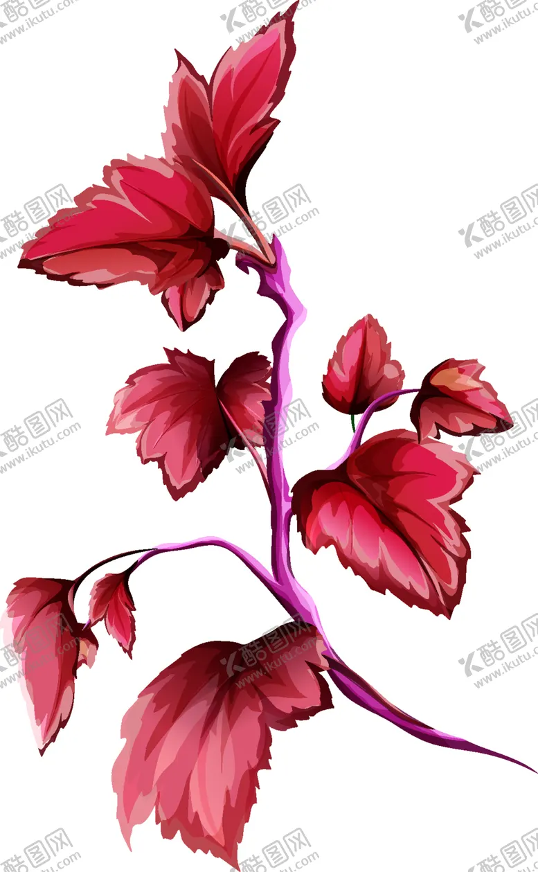 编号：29146806261515316730【酷图网】源文件下载-叶子