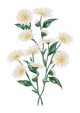 花素材热带数码印百合马面裙