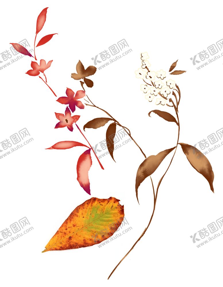 编号：91176106291959215795【酷图网】源文件下载-免抠背景干花枯花