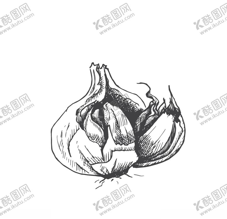 编号：25384010112228516406【酷图网】源文件下载-蔬菜