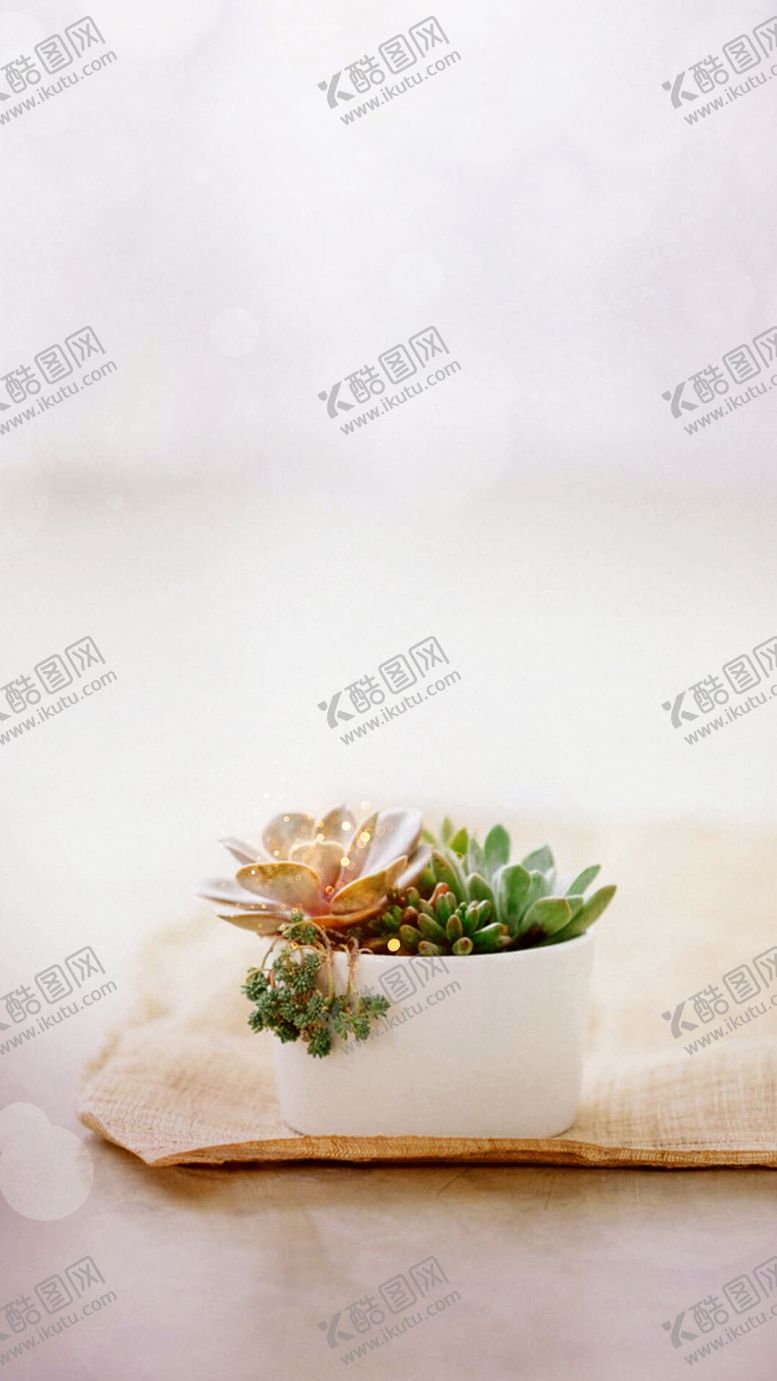 编号：13309209200348262469【酷图网】源文件下载-多肉植物暖场活动diy