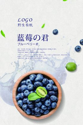 蓝莓海报