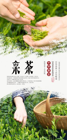 采茶海报