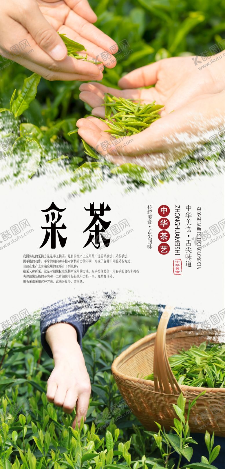 编号：83659410061806396190【酷图网】源文件下载-采茶海报