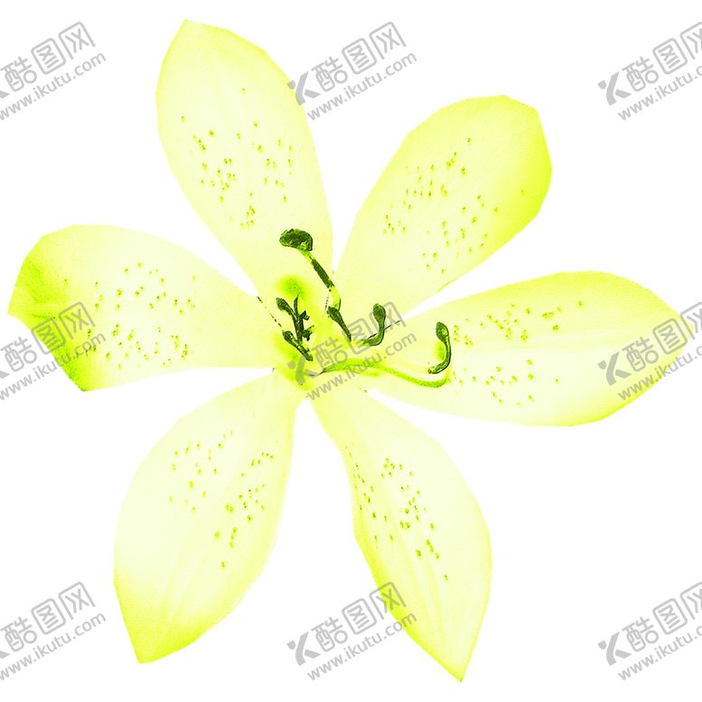 编号：83734607031203557798【酷图网】源文件下载-花素材