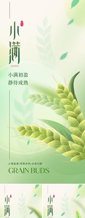 小满节气海报意境叶子弥散