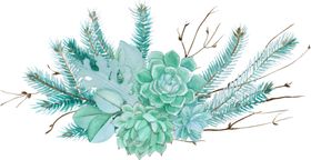 彩绘水彩花