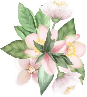 花卉背景