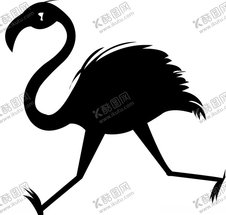 编号：20856904290113421576【酷图网】源文件下载-鸵鸟
