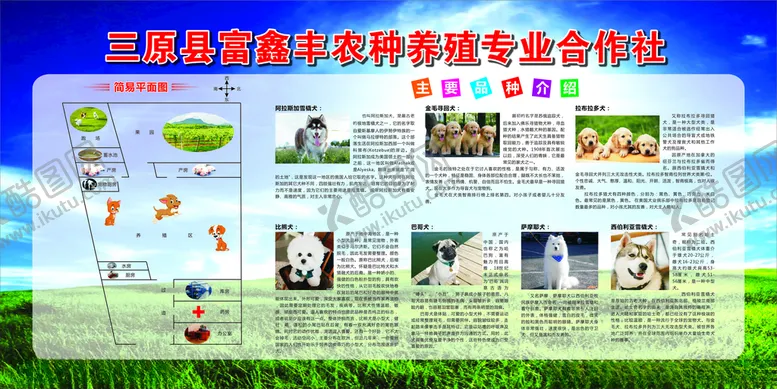 编号：97553101200901229744【酷图网】源文件下载-养狗展架