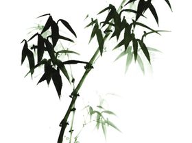 竹子