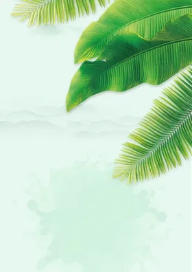 海报背景节日绿色傣族