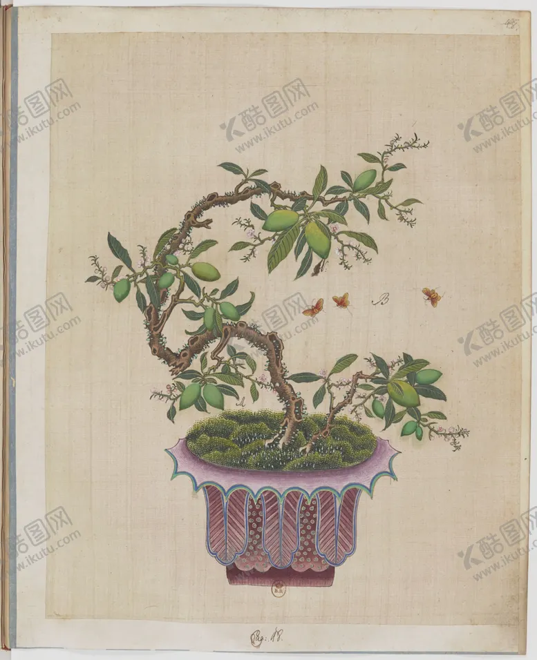 编号：71637004122028576187【酷图网】源文件下载-盆景花鸟