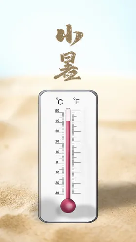 小暑中式地产单图大微信海报海报