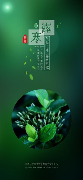 寒露海报