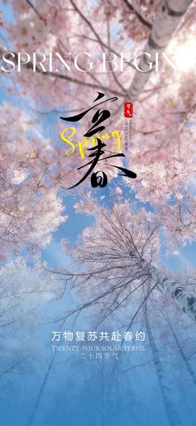 创意传统24节气立春海报