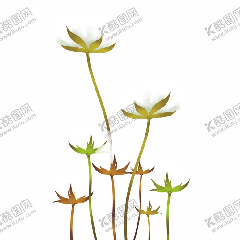 编号：58618609280347503319【酷图网】源文件下载-植物棉花元素