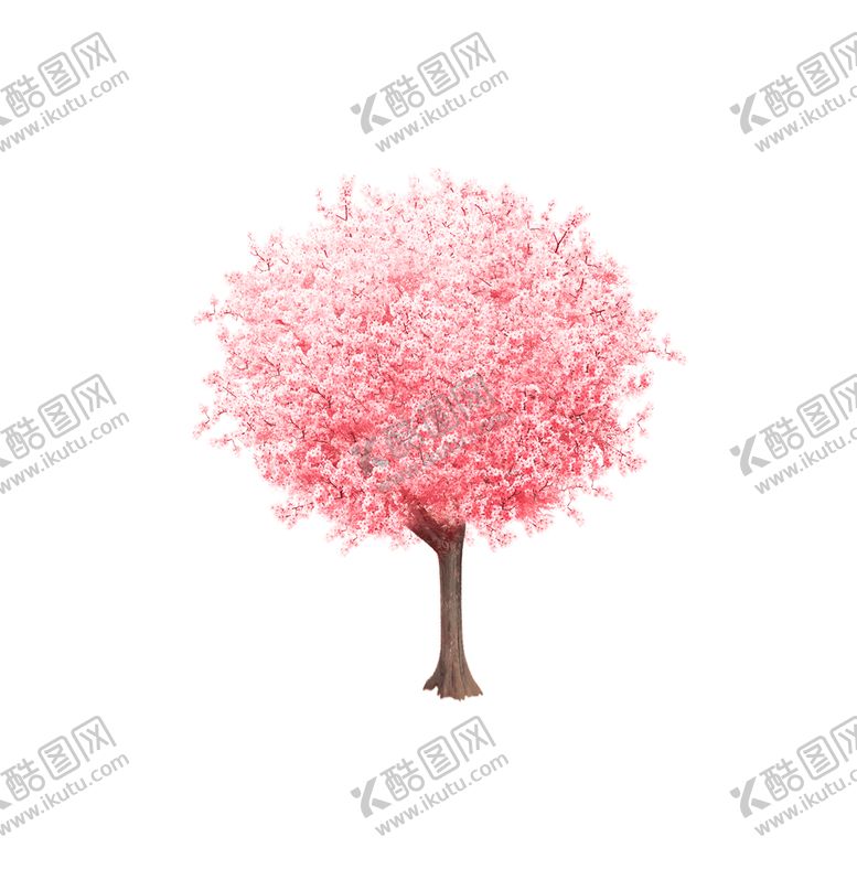 编号：96384709220915500459【酷图网】源文件下载-粉色樱花树