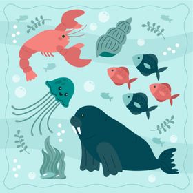 海洋生物卡通鱼类插图