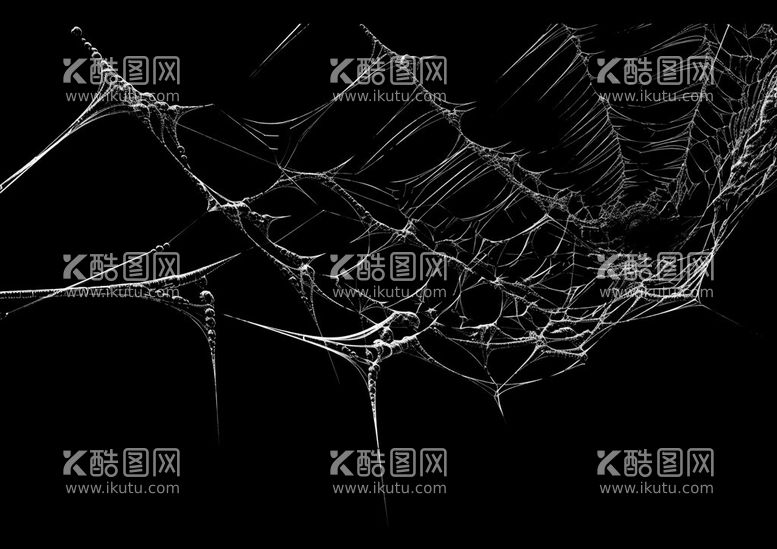 编号：78145111250302027910【酷图网】源文件下载-蜘蛛网