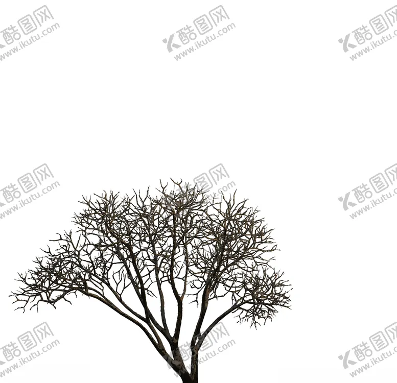 编号：94844007092013422759【酷图网】源文件下载-树木