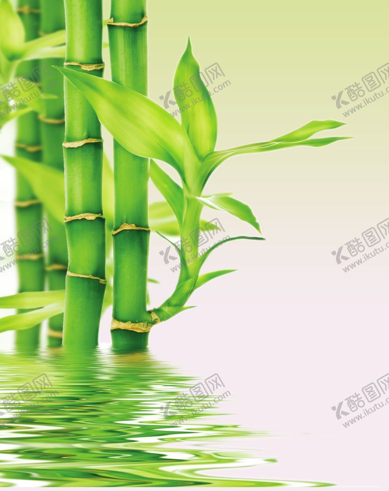 编号：54681206240729543447【酷图网】源文件下载-竹子