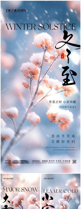 大雪冬至小寒节气系列海报