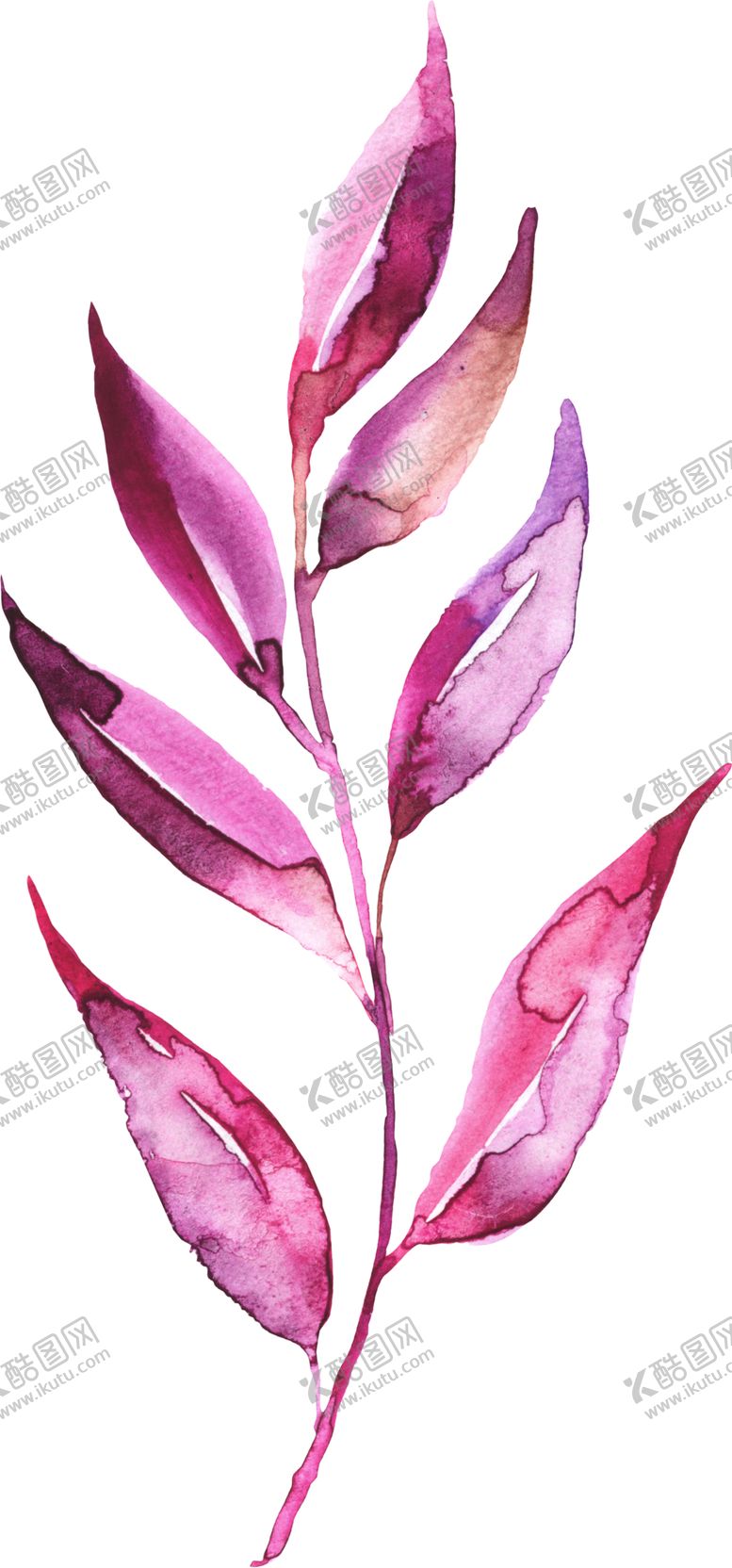 编号：28655009231011171842【酷图网】源文件下载-水彩手绘花卉花朵植物