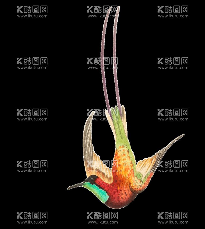 编号：56776010201636548457【酷图网】源文件下载-动物鸟