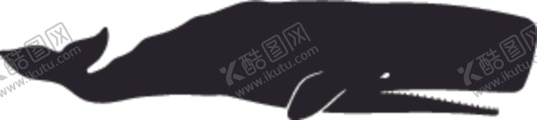 编号：30531007070717112053【酷图网】源文件下载-海洋生物系列巨抹香鲸