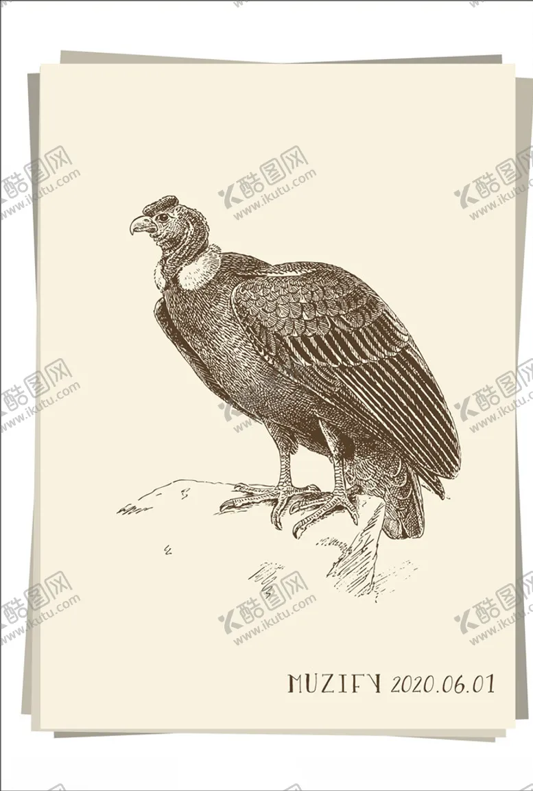 编号：75694106181420099837【酷图网】源文件下载-鹰素描画