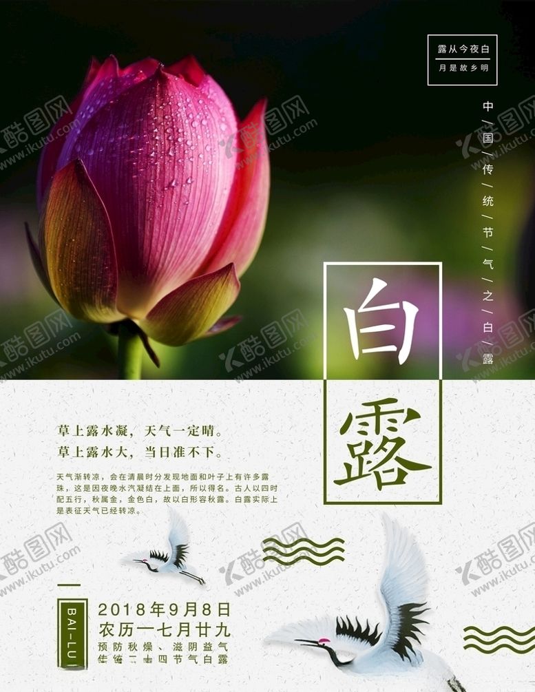 编号：36941705150631442026【酷图网】源文件下载-白露