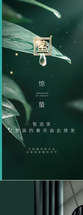 简约大气惊蛰系列海报