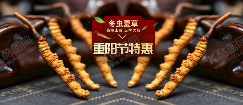 编号：23705909241031333674【酷图网】源文件下载-冬虫夏草