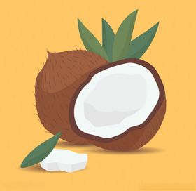 椰子水果蔬菜