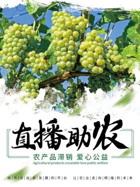 黄金蜜桃直播助农